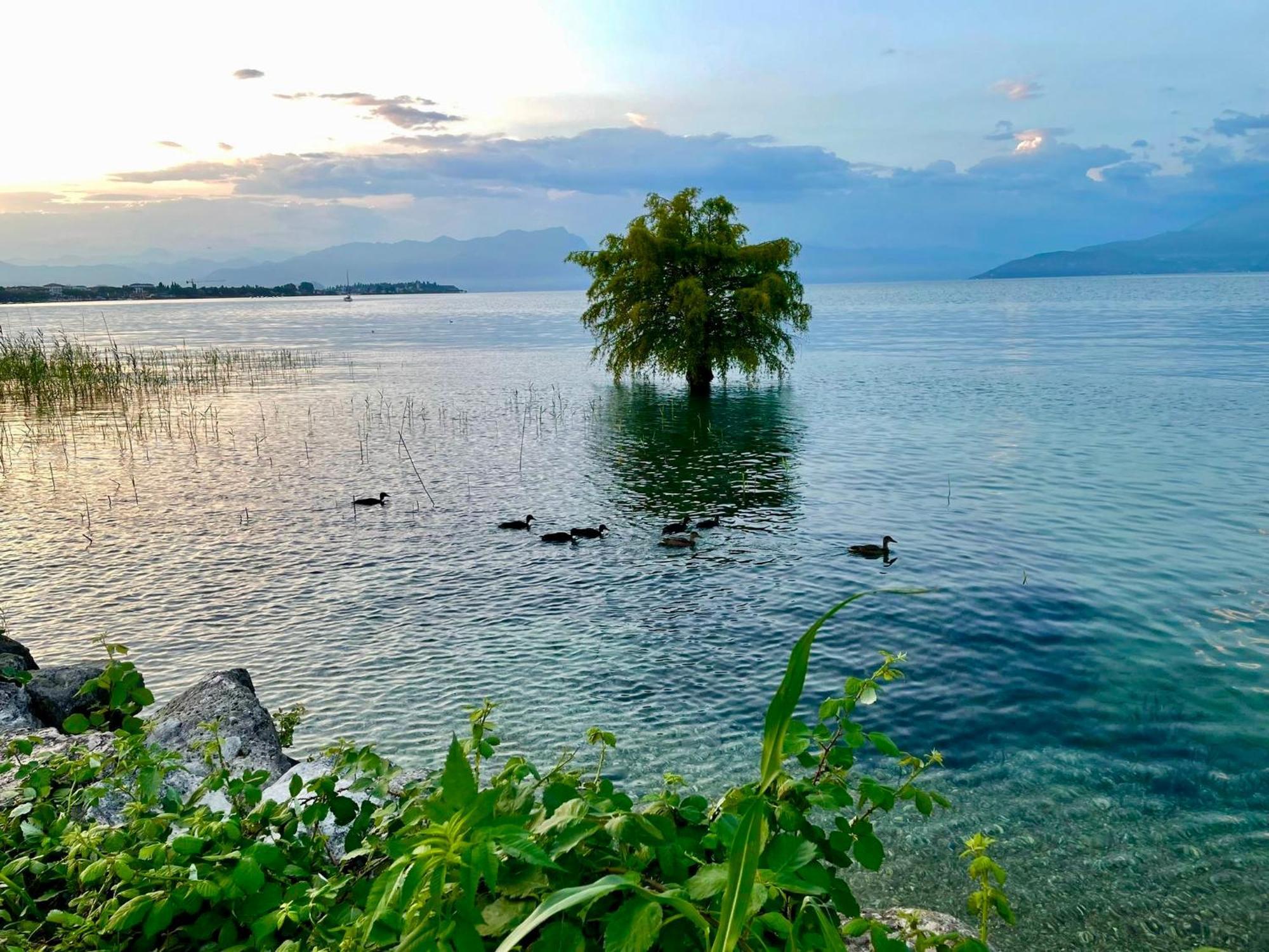 Hotel Alfieri Sirmione Dış mekan fotoğraf
